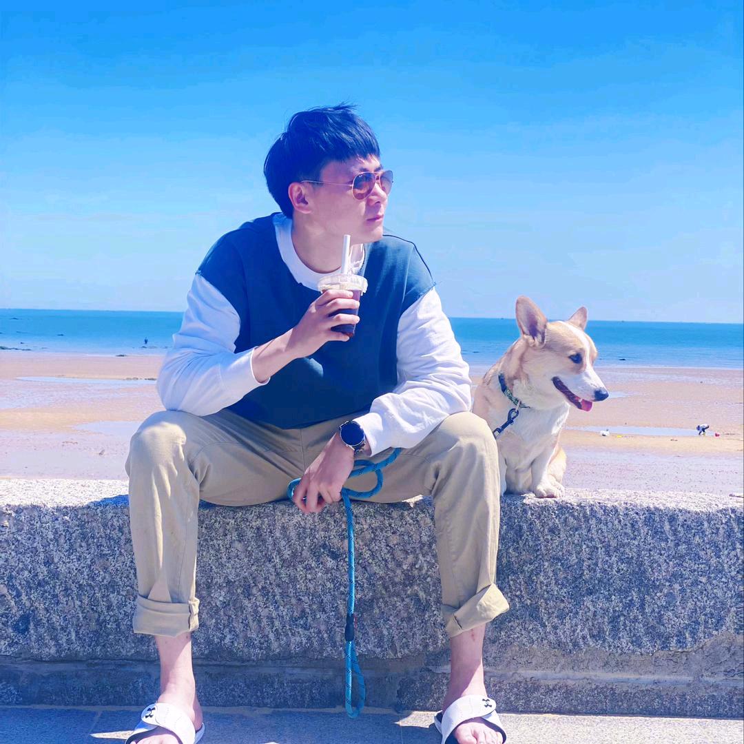 炫迈小陀螺