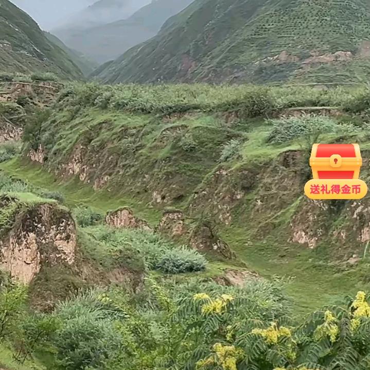 刘～