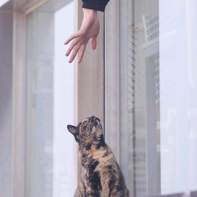 有票都有票（见过skz版）