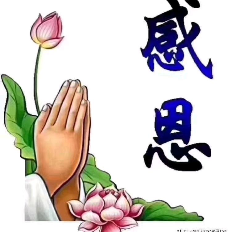 🙏有你真好🙏