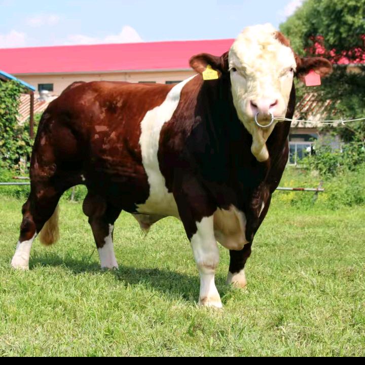 等我退休了在东山再起