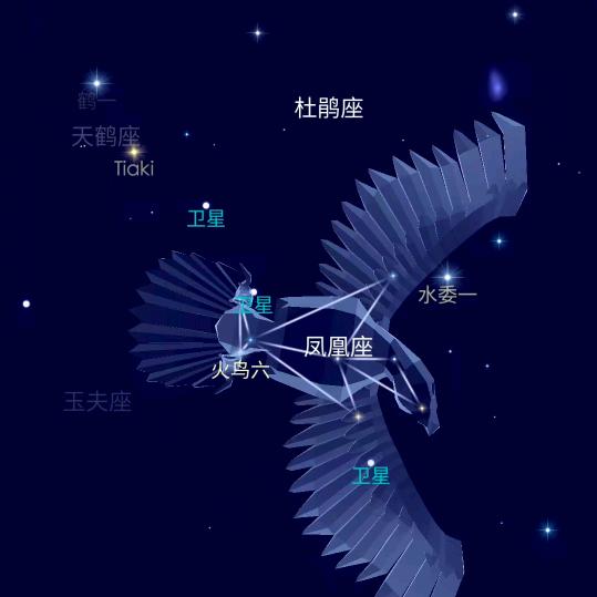 小玖#