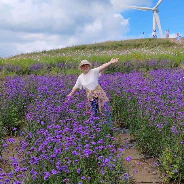 🌈暮色“敏”茶🌈