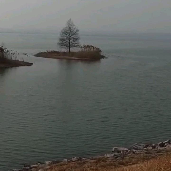 三哥