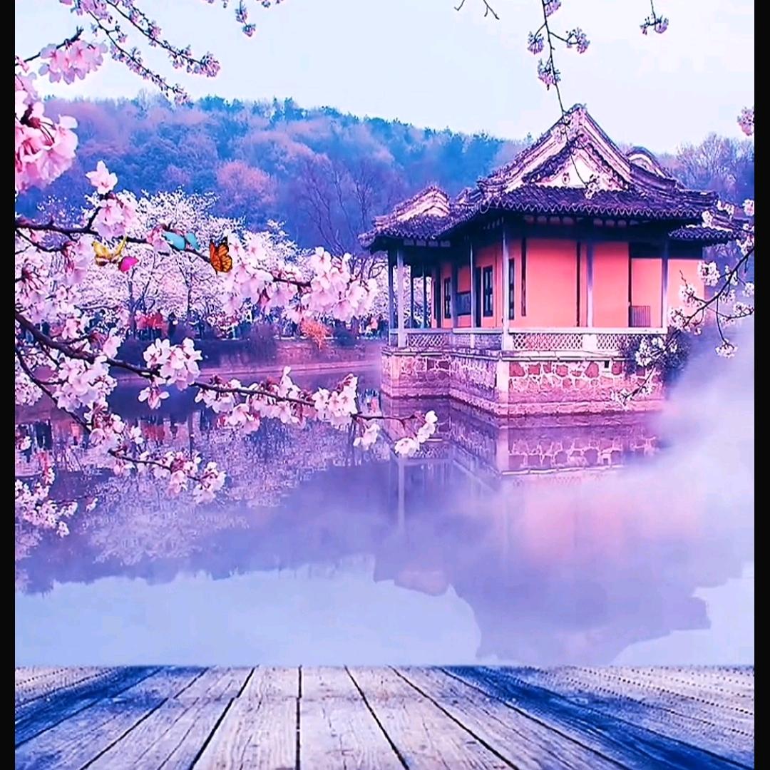 歆。。好物分享……
