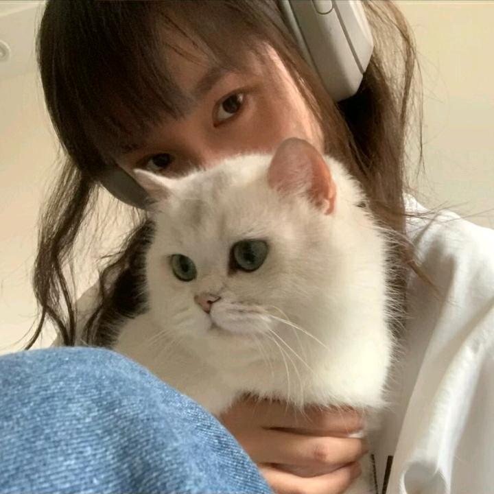 不勇敢小姐