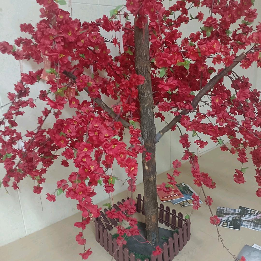 w珍惜心忠人，单身妈妈