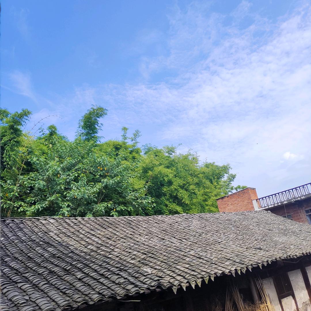A……