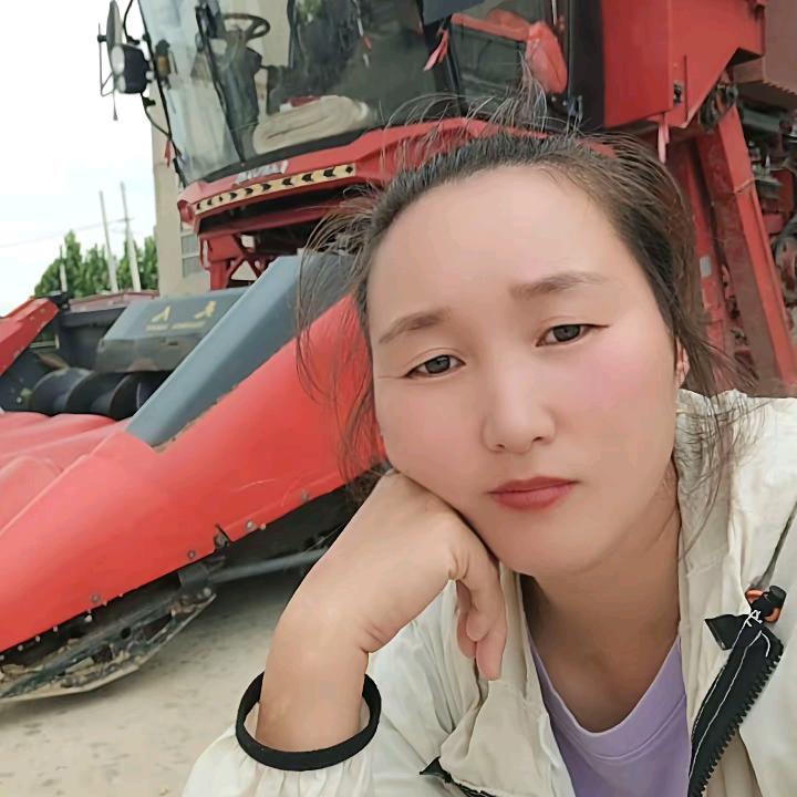 娜姐收割玉米小麦