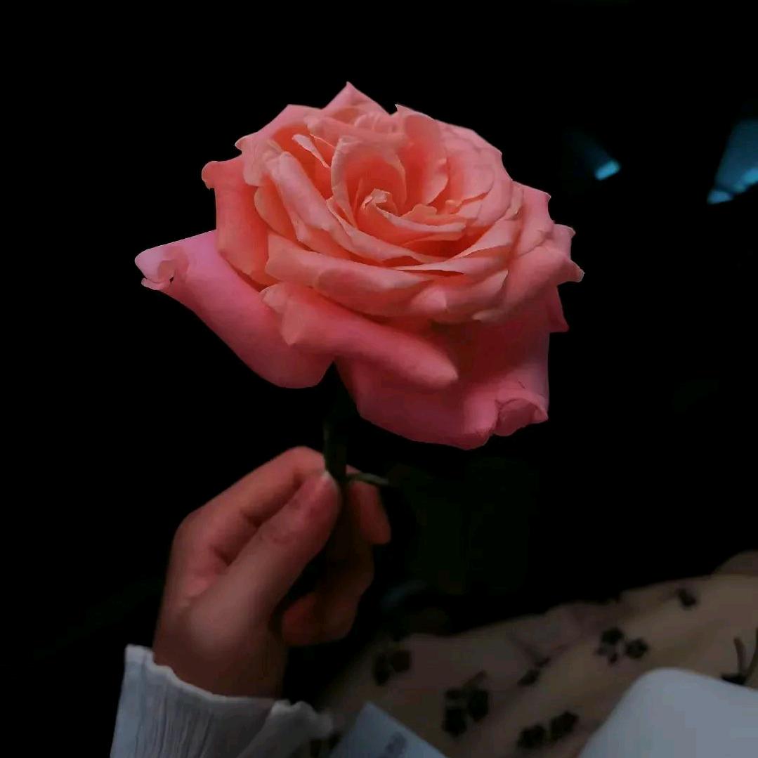 A-✨纆✨藜