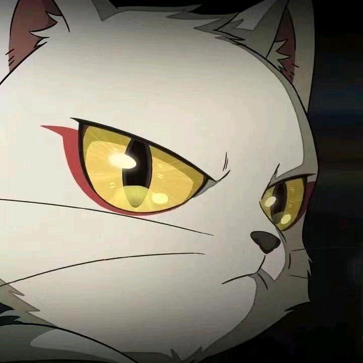 3598