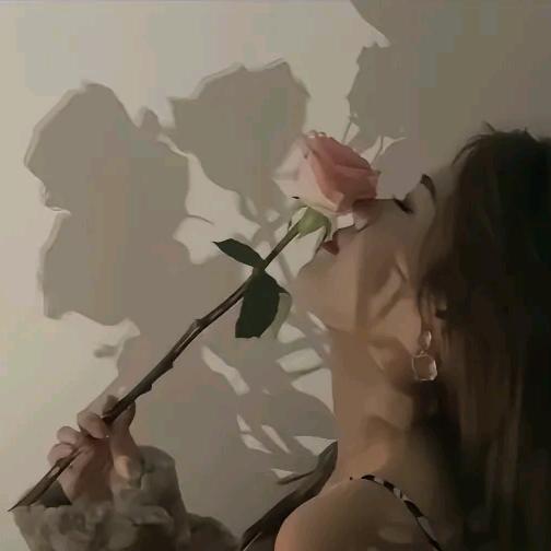 海鸥飞出彩云飞