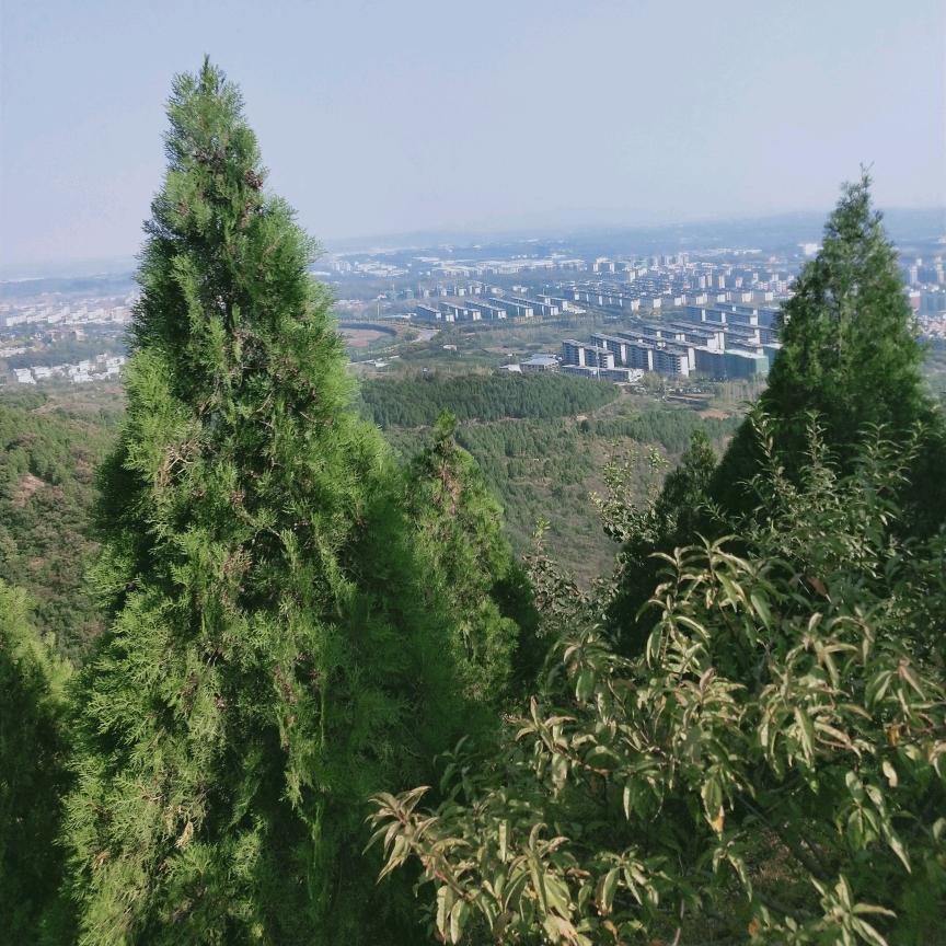 北凉的吴永四头像