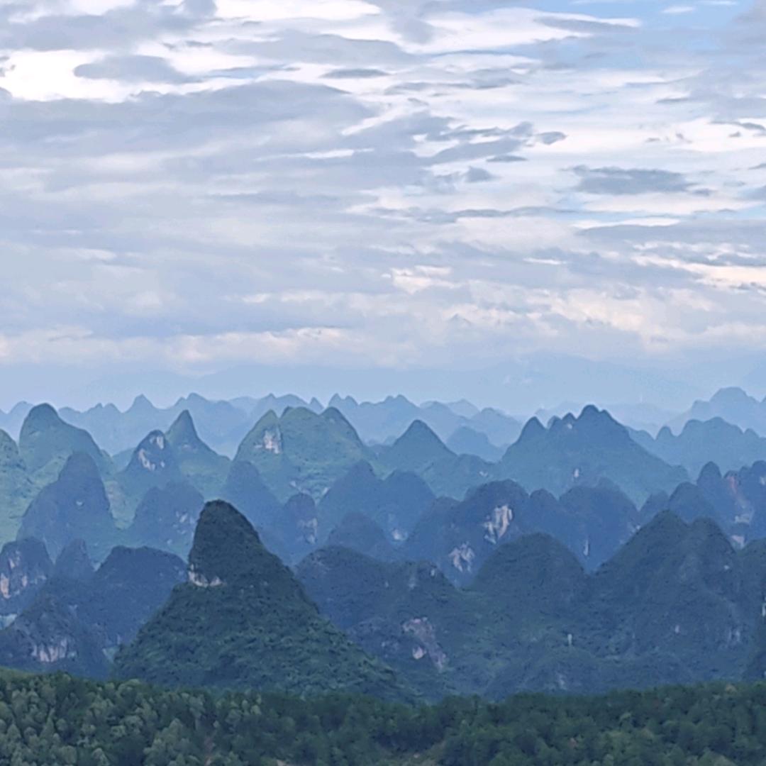 要的嘛