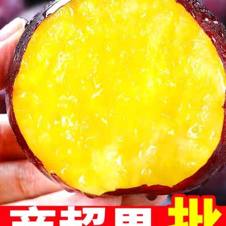 快乐人dyg9wves01wte生ool