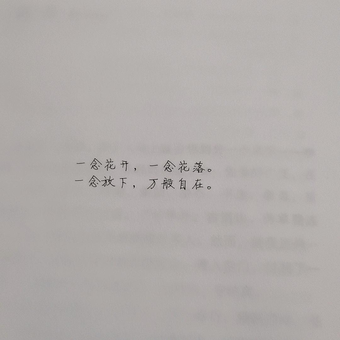 风中等疯子