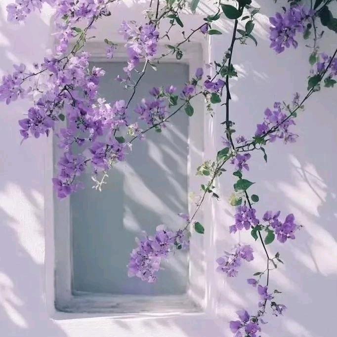 一路生花