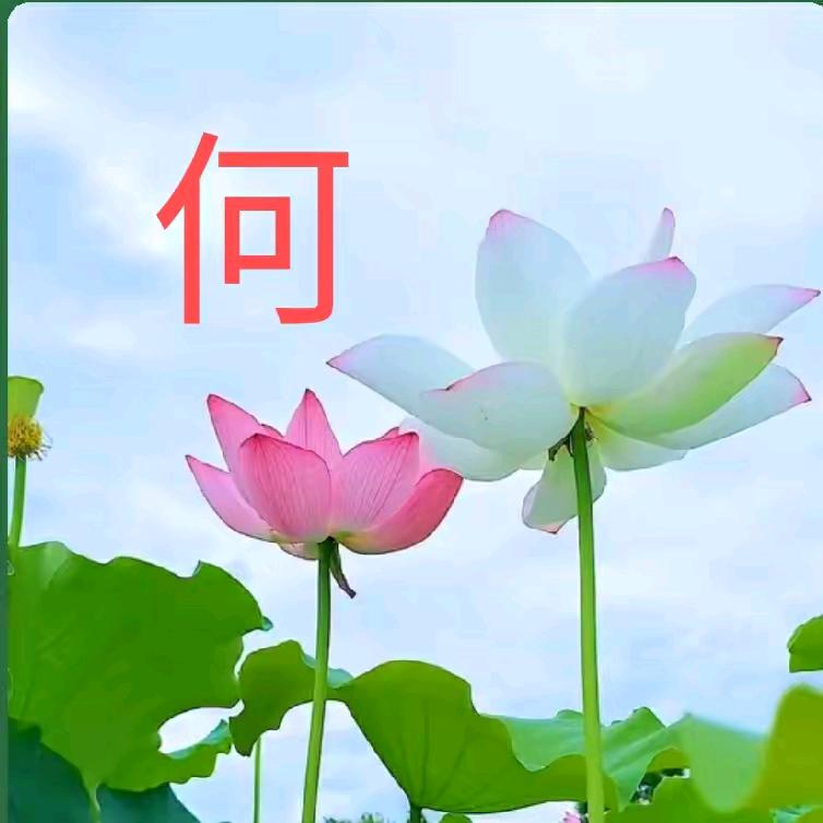 何乐而不为