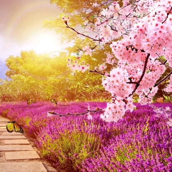 珍珍臻🌸战友一号