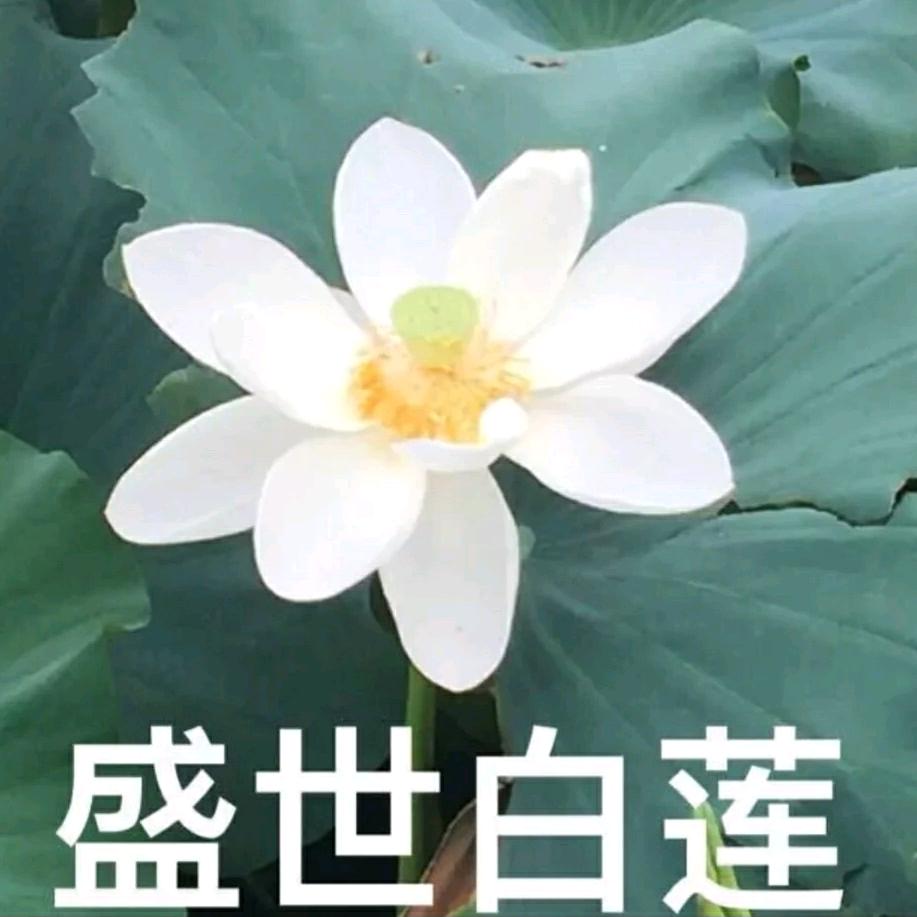 敏敏姥姥