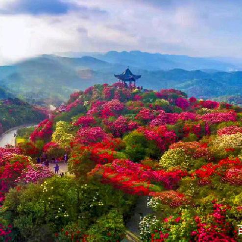 小付同志，加油哟