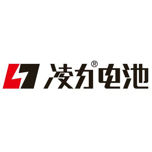 凌力电池厂家