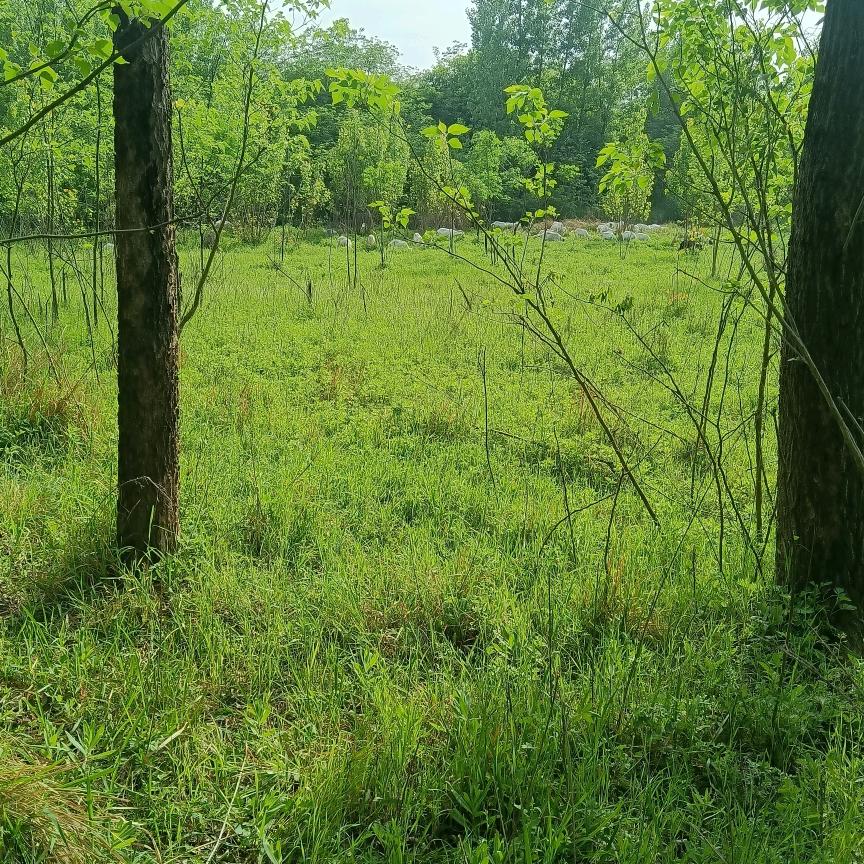 镇平县云普养殖场