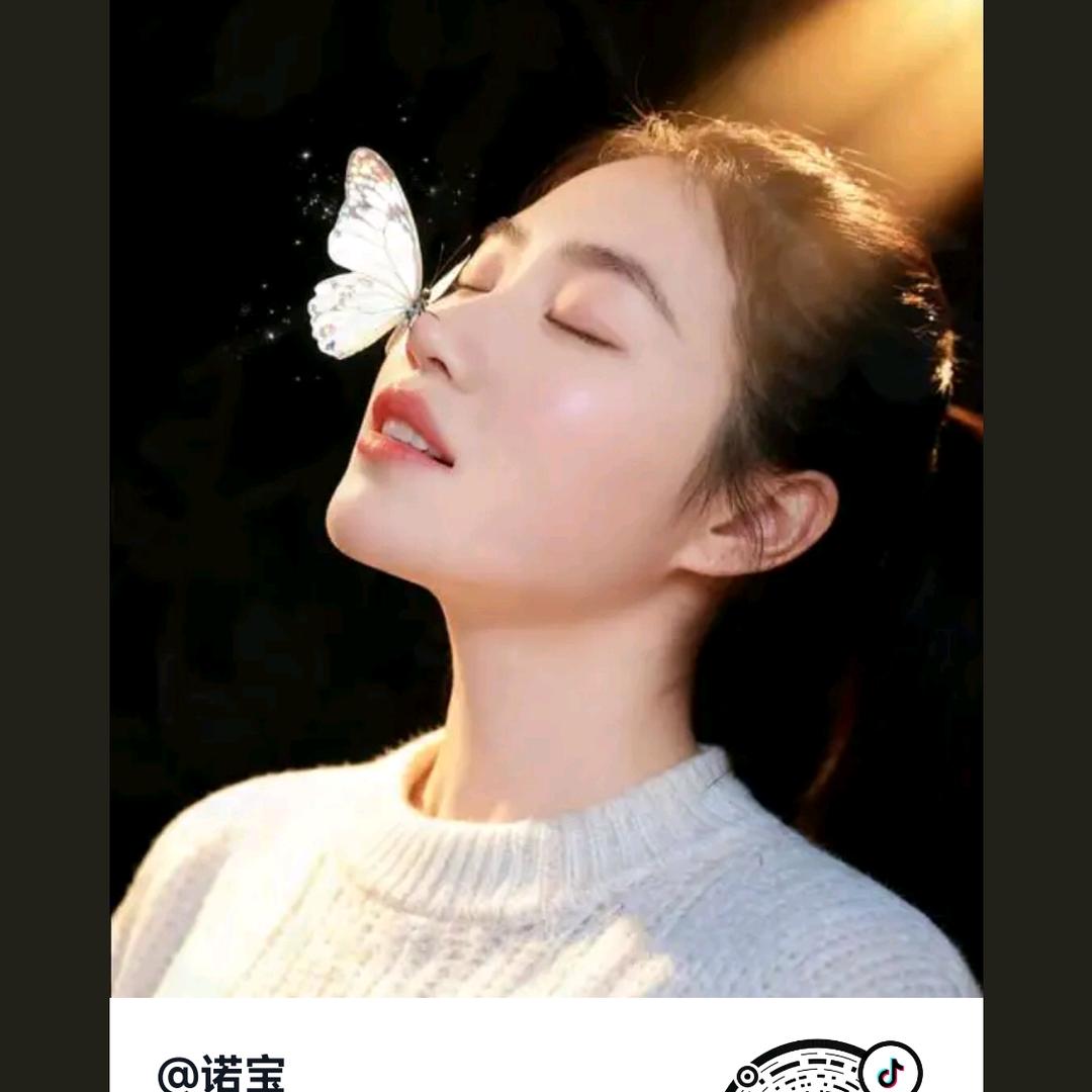 诺宝