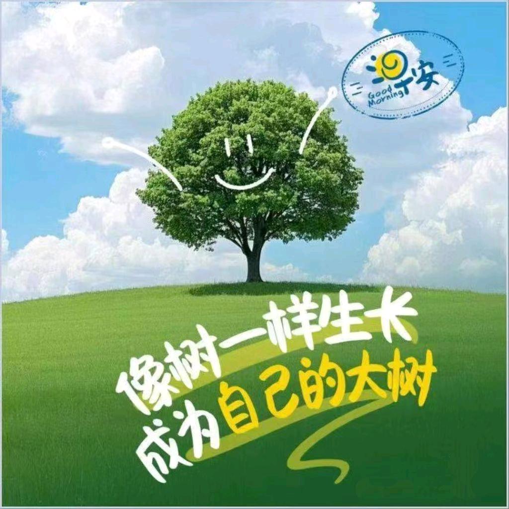 小曼姐