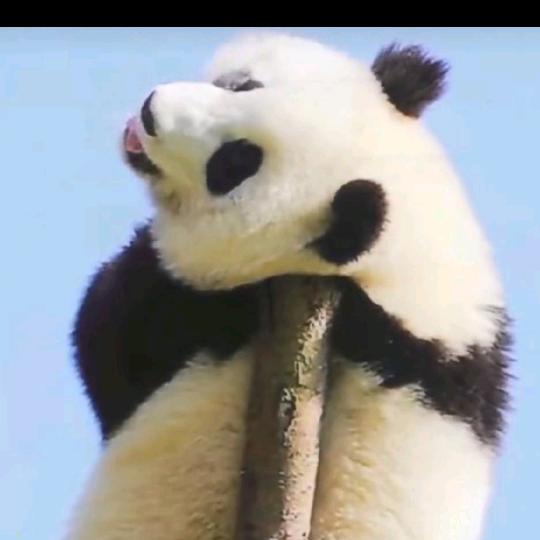 绽放☀️