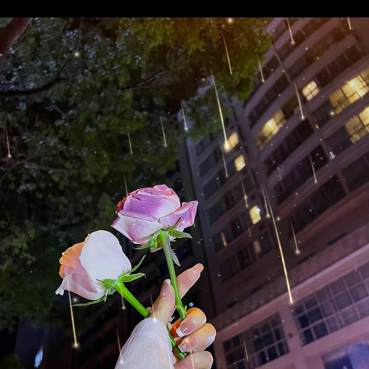 🌸🌸🌸🌺🌺🌺🍁🍁🍁