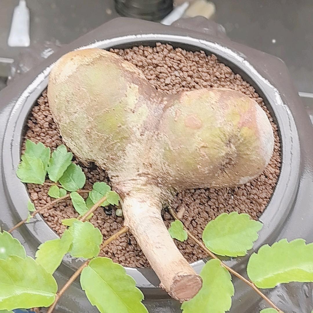 榆你有缘