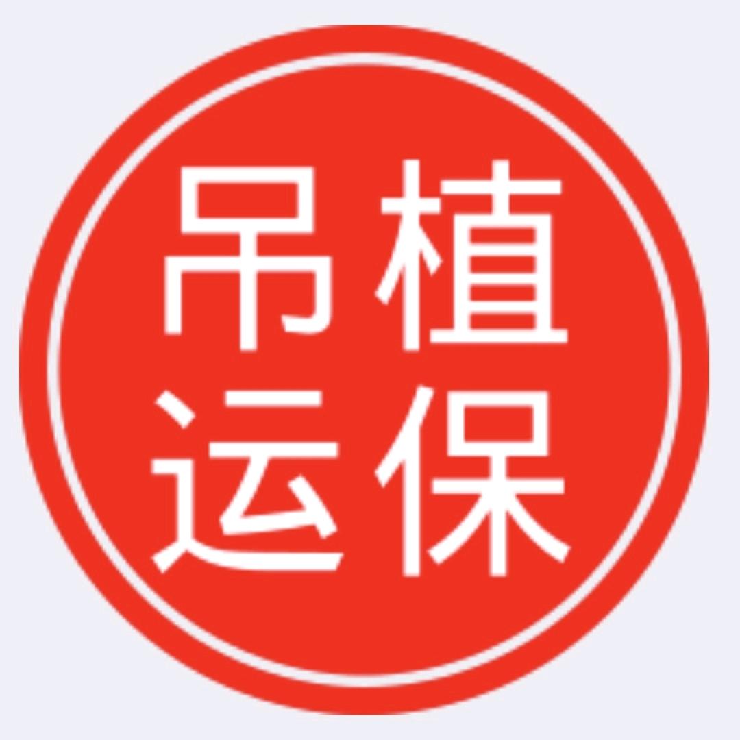 南阳无人机吊运