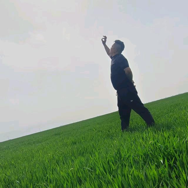 辉煌优选果品
