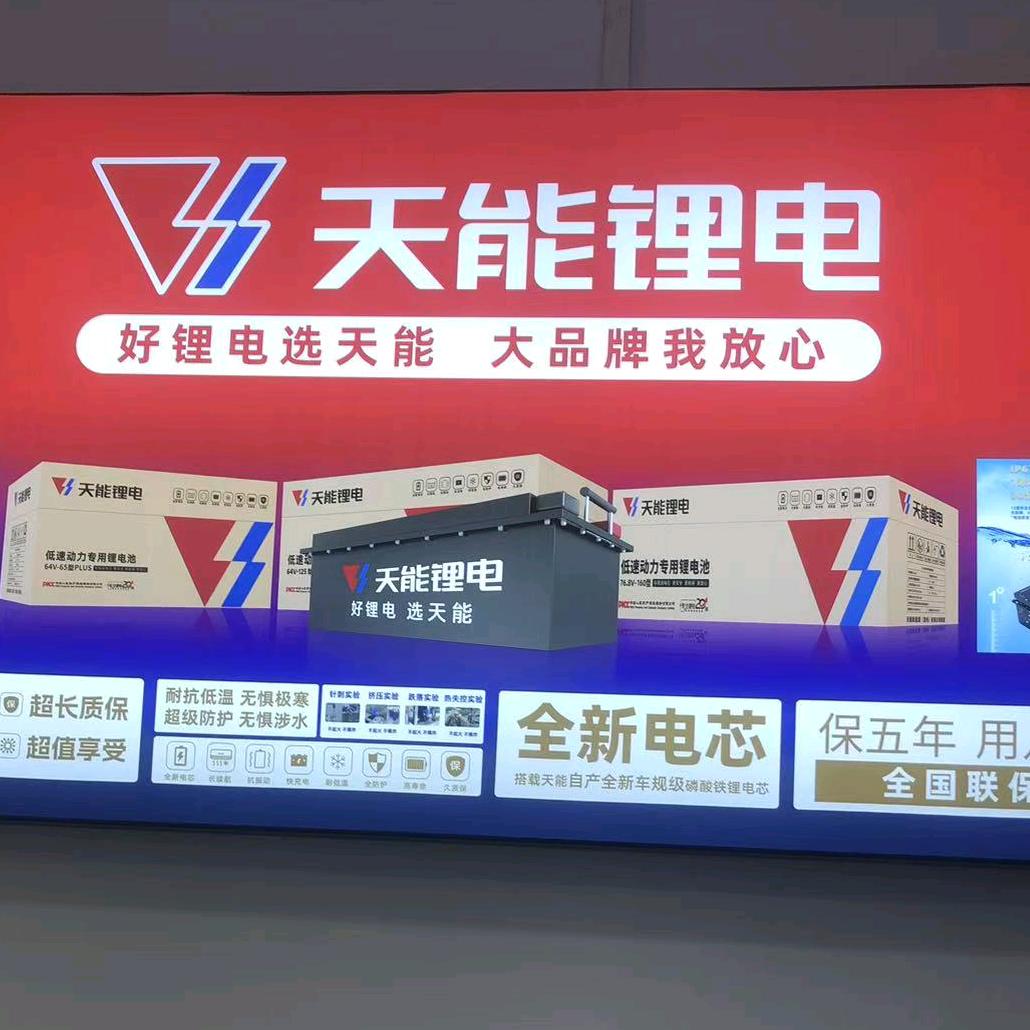 天能锂电监利批发店