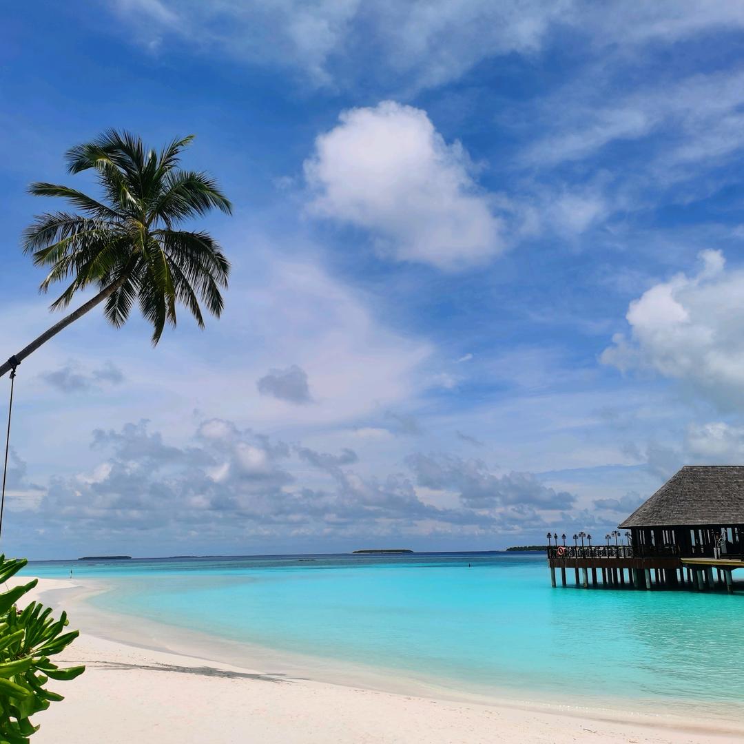 微微 🐬¹⁰⁰⁸