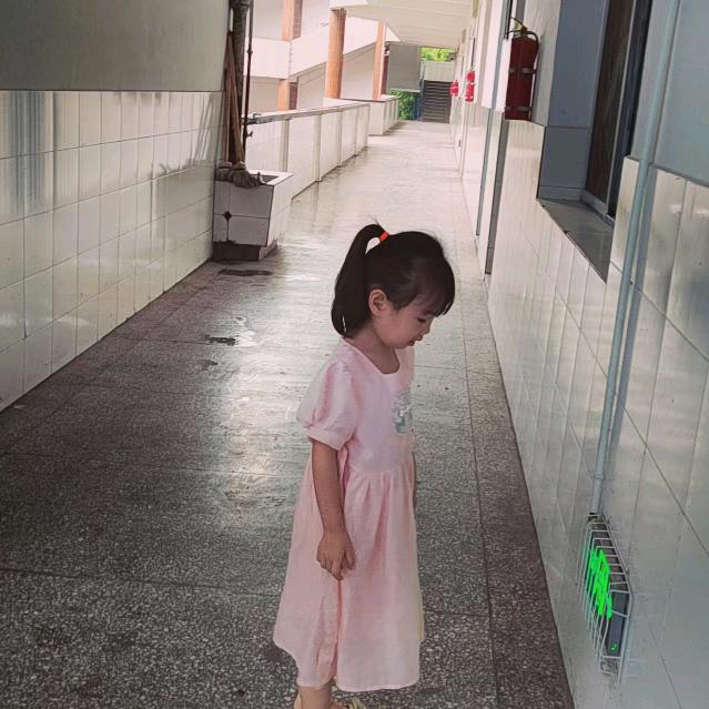 猪儿虫