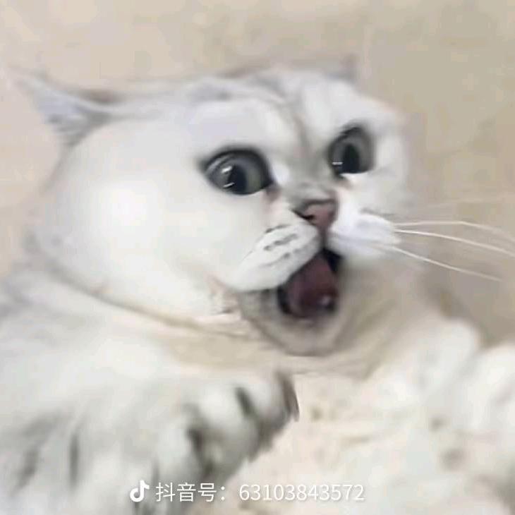 ℳঞᩚ配➹角²⁵⁵꧔ꦿ᭄