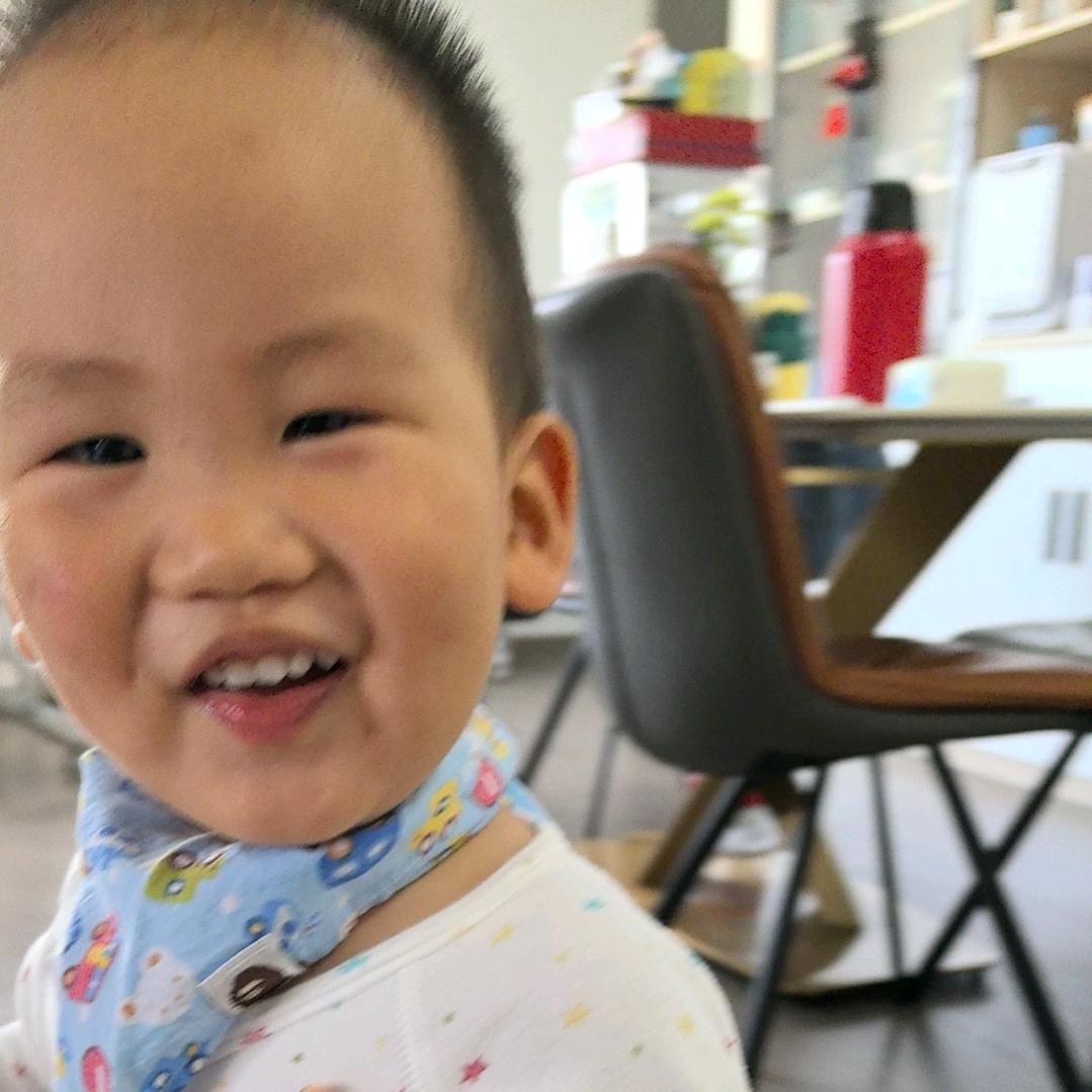 没完没了的长颈鹿