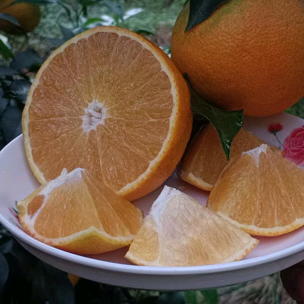 刘杰精选食品店