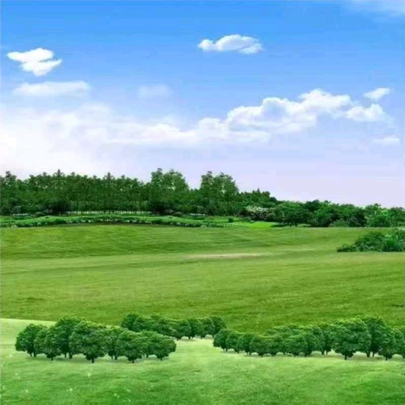 平     安