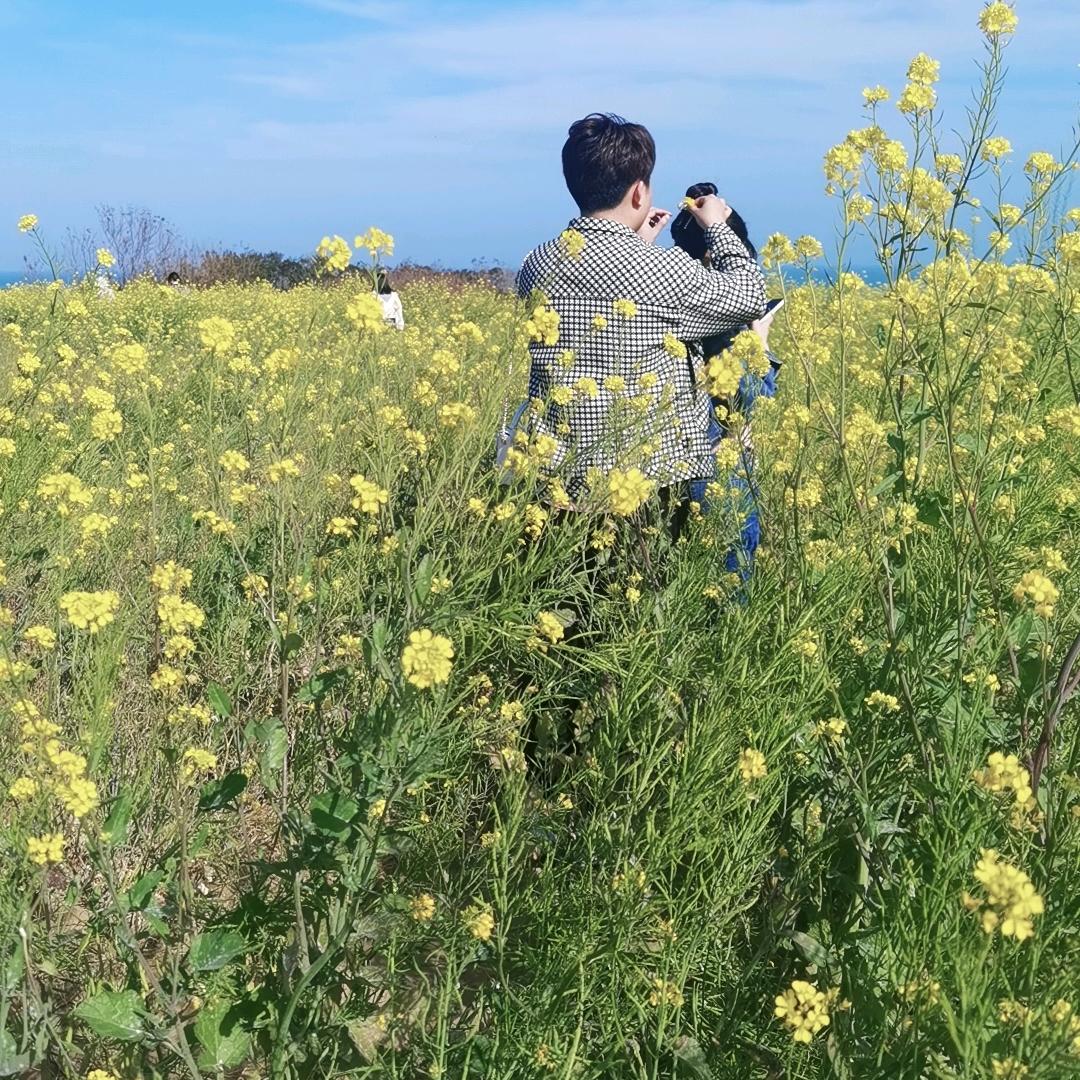 鸿鑫☀️