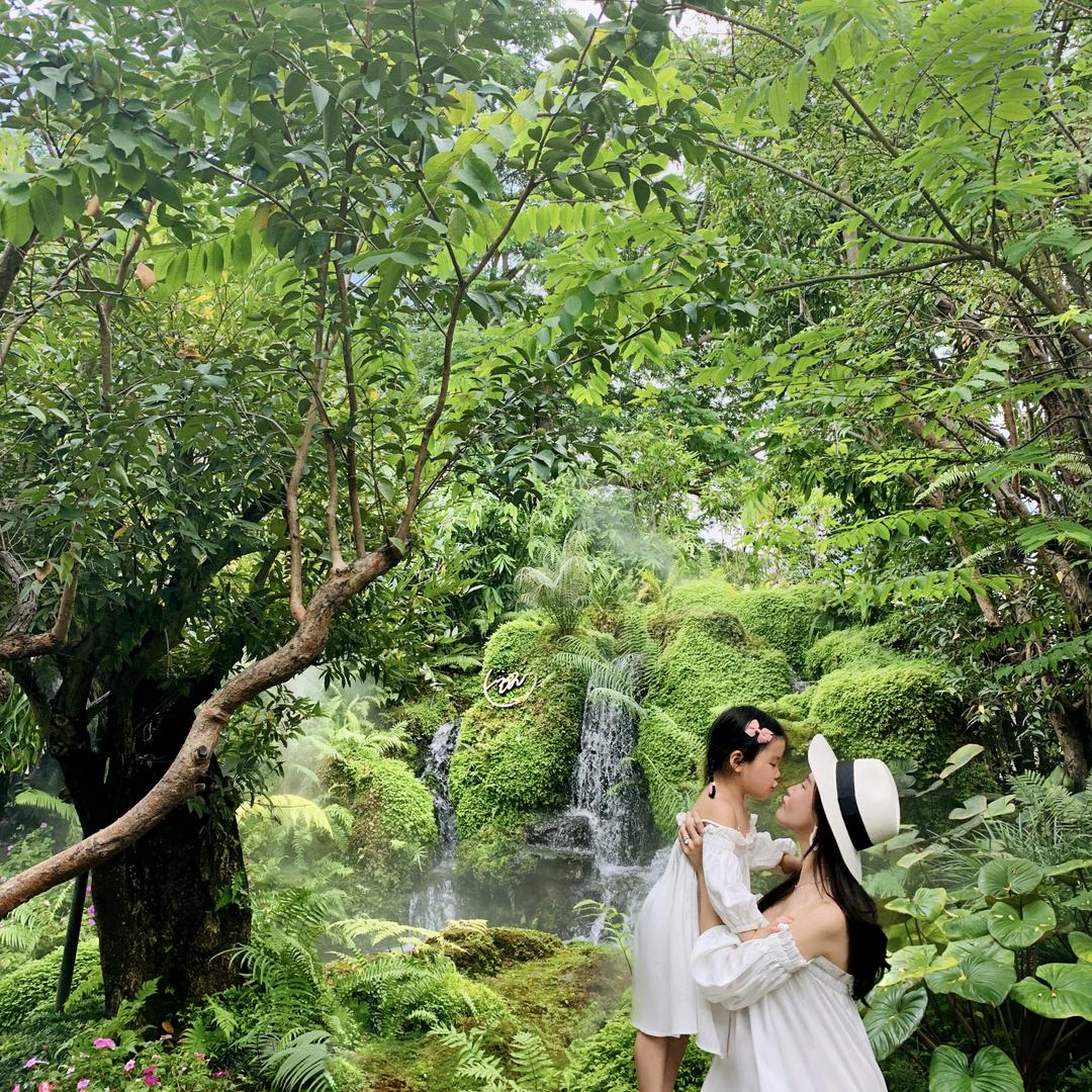 朵妈＆直播好物返场