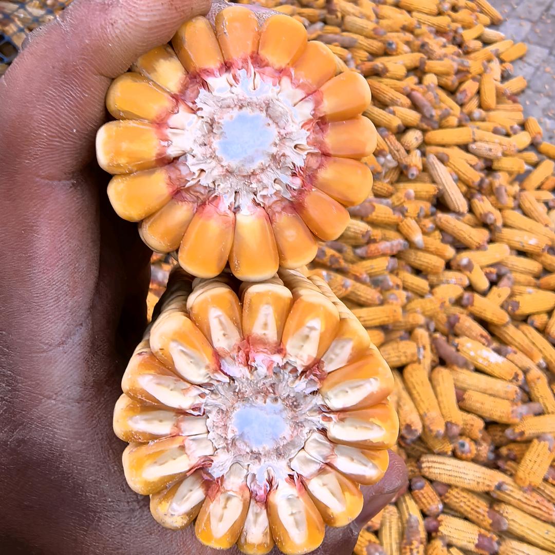 文安县聚沣粮油贸易有限公司