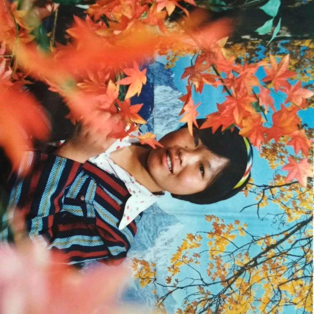 春天花会开
