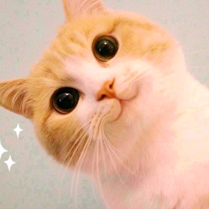 飘凌暮雪🌙🌙