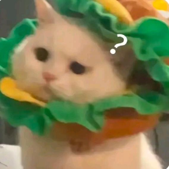 哔哔哔哔哔啵啵🐽