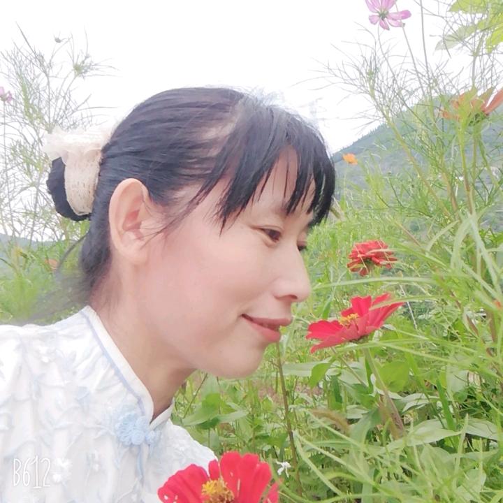 兜兜每天下午2：50直播