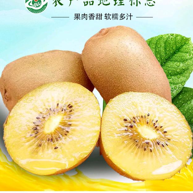 西藏林芝察隅巴布吉土地种植专业合作社