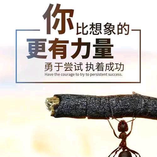 情感●書單